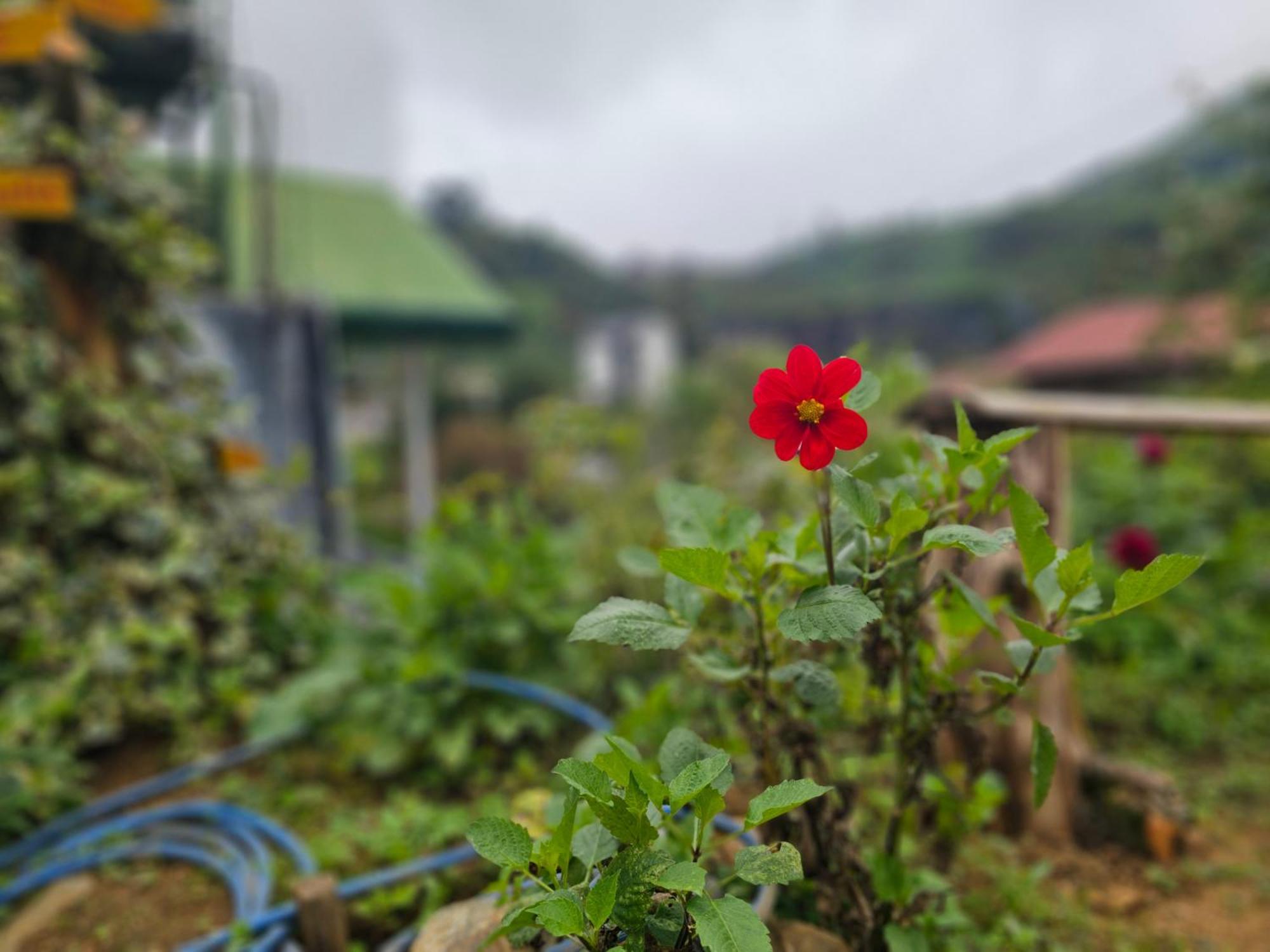 Hostel Haven Backpackers Nuwara Eliya Exteriér fotografie