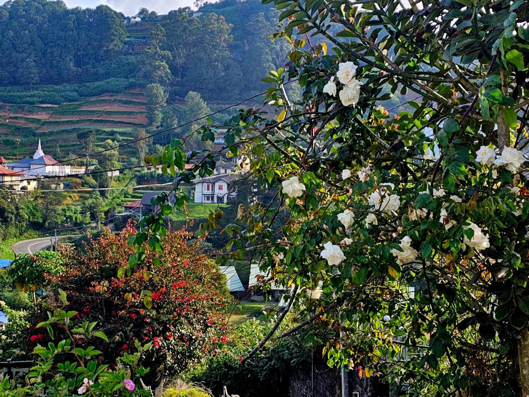 Hostel Haven Backpackers Nuwara Eliya Exteriér fotografie